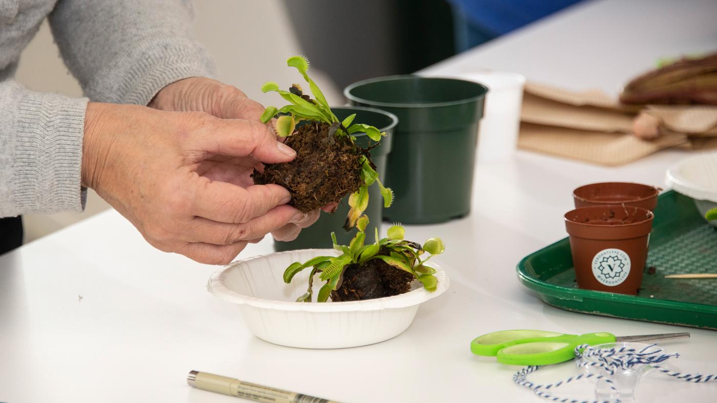 Ready, Set, Grow!