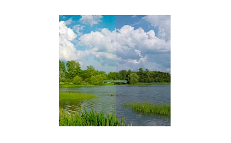 Workflow for Beginning Photographers