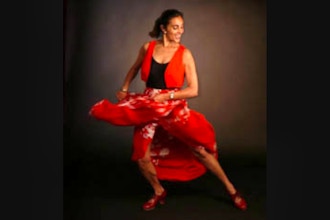 Flamenco Fitness (Remote Live)