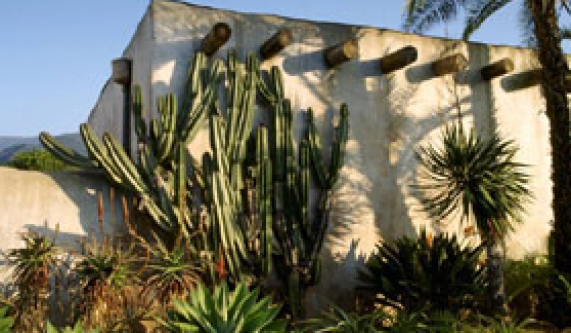Drought-Tolerant Landscape
