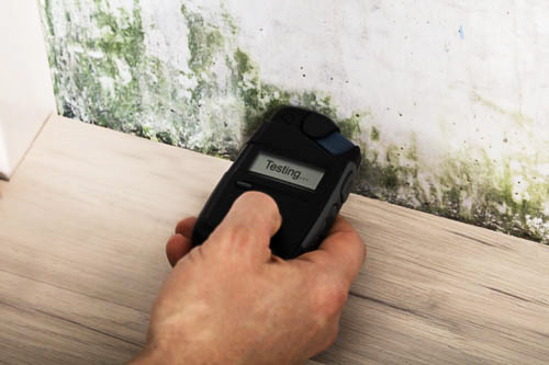 Mold Assessor/Remediation Contractor Combination