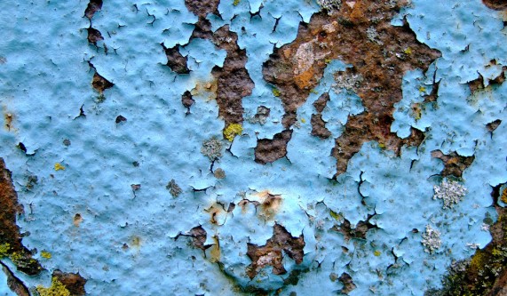 EPA-Lead Based Paint Inspector Initial