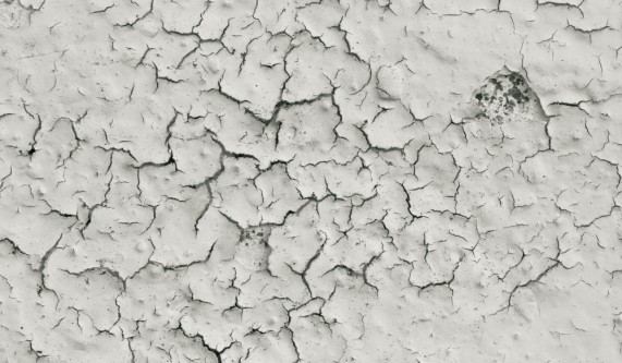EPA-Lead Based Paint Risk Assessor Initial