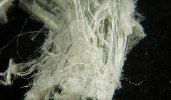 8 Hour Asbestos Awareness - Managers & Safety Pro