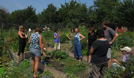 What S Happening In The Garden Garden Classes Chicago