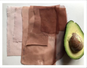 Introduction to Natural Dyeing: Avocado
