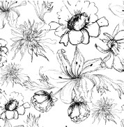Fauna, Flora, People & All in Between