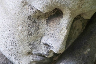Figure Sculpture: The Face