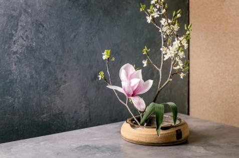 ikebana1.jpg
