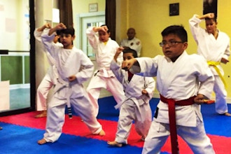 Traditional Japanese Karate( Kids)