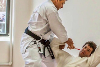 Traditional Japanese Karate (Beginner-Adult)
