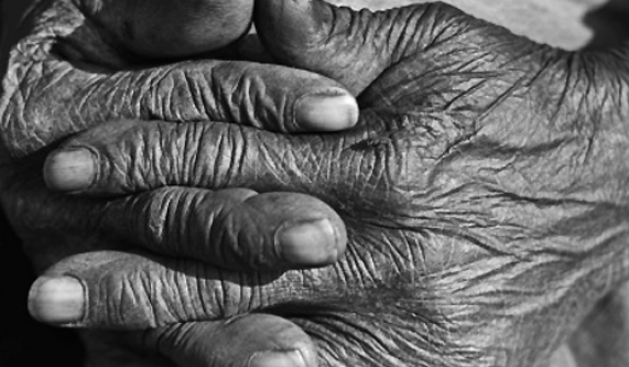 Meet the Author:Catherine A. Stewart, Long Past Slavery