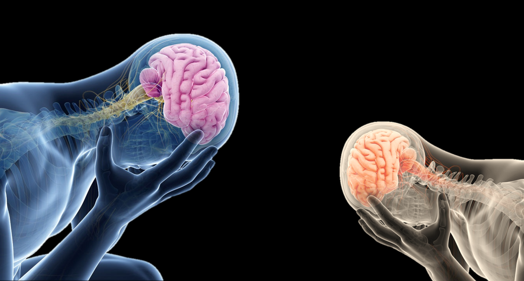 De-Stressing the Mind and Body