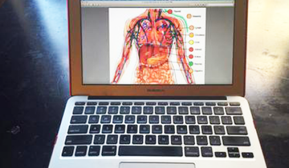 Reading Your Body for Health and Inner Happiness