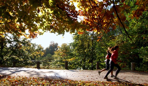 Photography Workshop: Capture Autumn