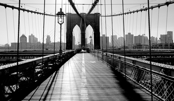 Crash Course: Urban Landscapes