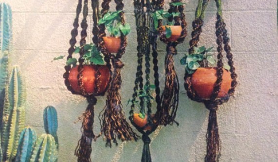 Macrame Plant Hangers