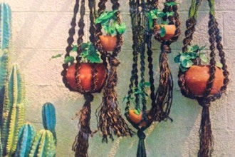 Macrame Plant Hangers