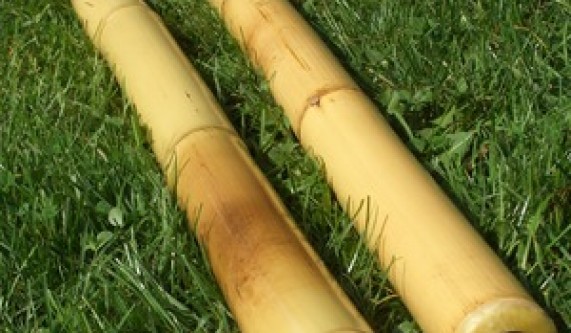 Bamboo Didgeridoo Making Workshop