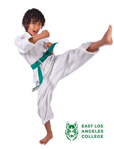 Kenpo Karate Level III - Ages: 5 yrs. and up