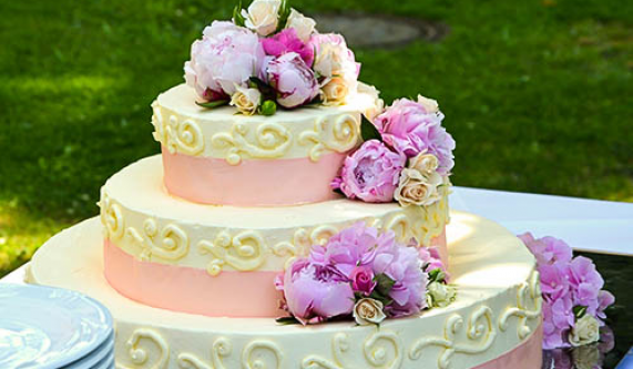 Decoracion de Pasteles: Nivel Principiante