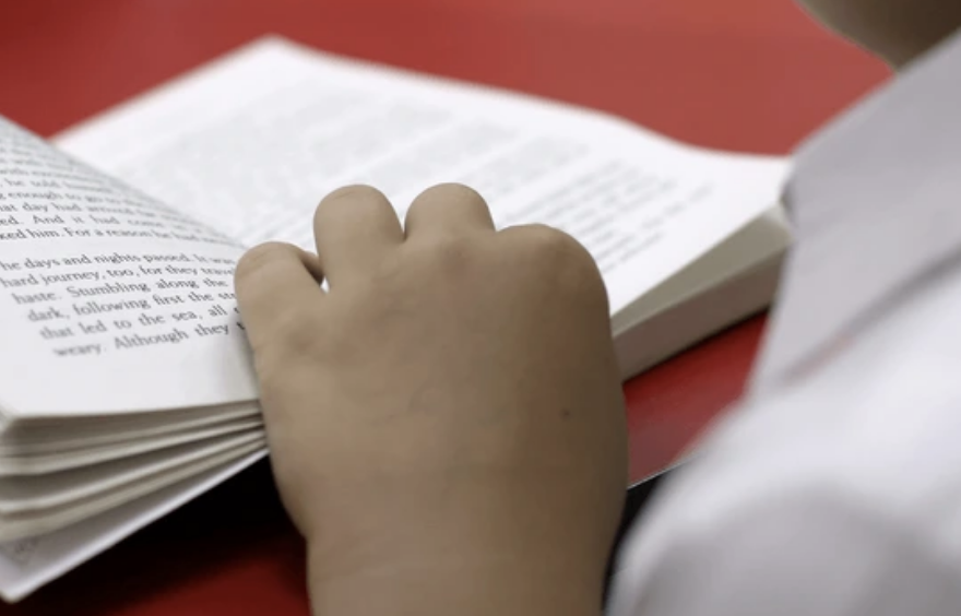 Reading Comprehension (For students entering 3rd grade)