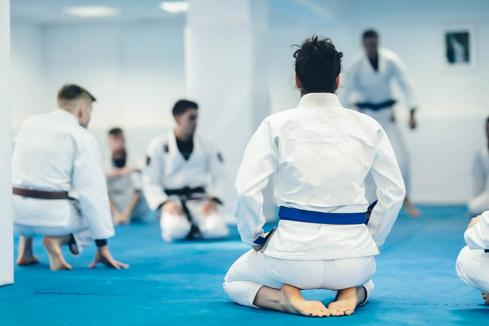 Brazilian Jiu Jitsu - Ages : Teenagers and Adults
