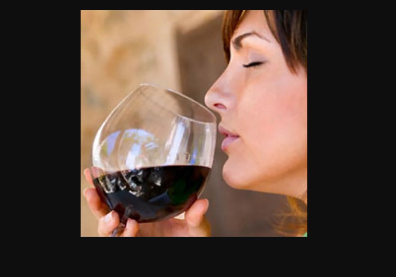 Wine Tasting: Becoming a Wine Connoisseur