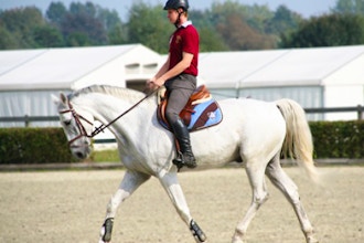 Learn Horseback Riding Class for Beginners