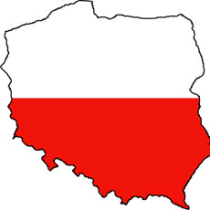 Polish Language - Advanced
