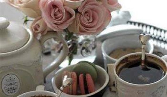 Alchemical Healing Essentials