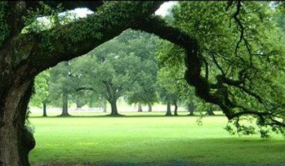 Discovering Magical Monarch Butterflies