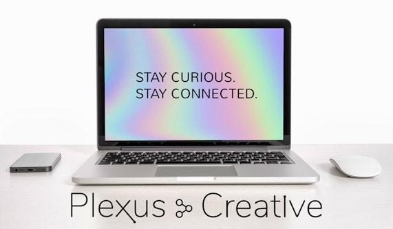 Plexus Creative