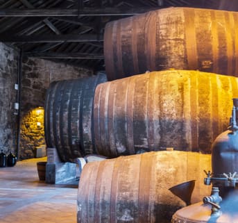War and Wine: Grand Cru of Wine
