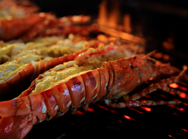 Hands-On Shellfish on the Grill