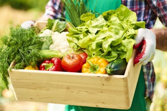 Making the Most of Your CSA Box