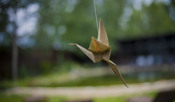 Origami Open House