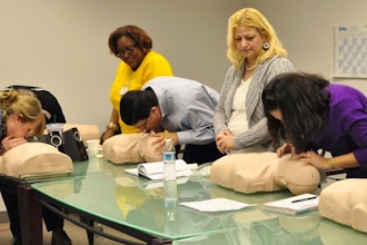 ACLS + BLS + PALS Skills Session - Healthcare Combo