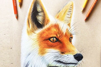 Learn to Draw Realistically: Animals  (Grades 3-5)
