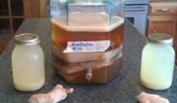 Kombucha and Jamaican Ginger Beer