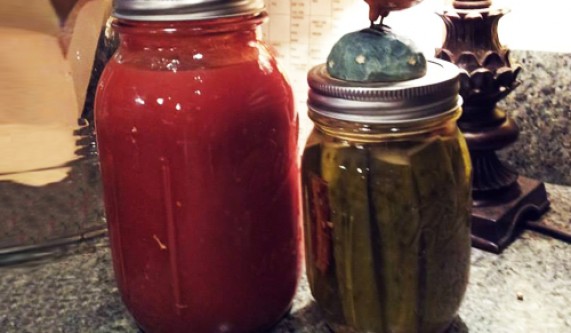Fermentation Basics