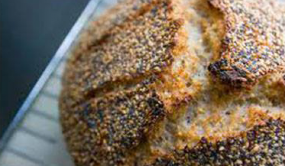 No Knead Sourdough Bread - with Sprouted Grains