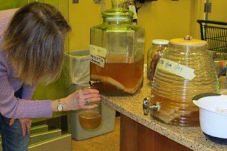 Brew Your Own Kombucha and Ginger Beer