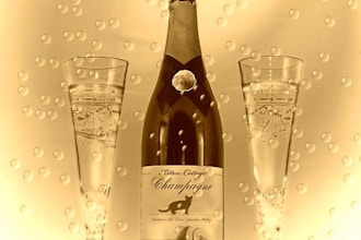 Vintage Champagnes