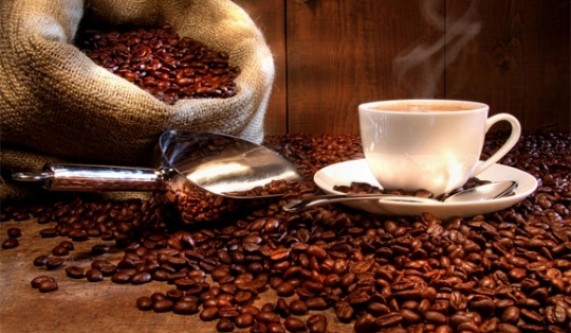 Coffee 101 & Brewing 