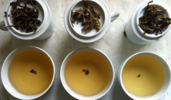 Tea 101 + Tea Appreciation
