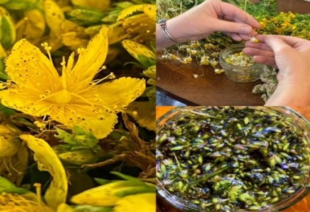 Herbal Support for Stress & Anxiety