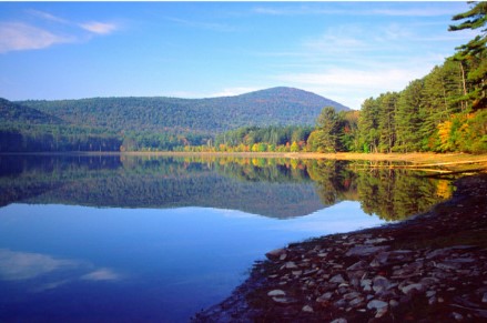 1/2 Day Herbal Workshop in the Catskills