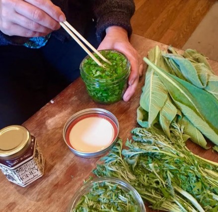1/2 Day Herbal Workshop in the Catskills