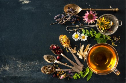 Introduction to Herbalism: Part 1